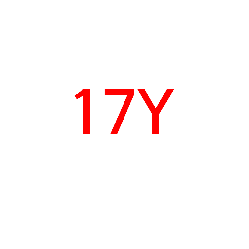 #SET_17Y1 ライトベージュ (日本限定色)