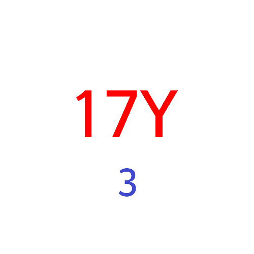 #SET_17Y1 ライトベージュ (日本限定色)